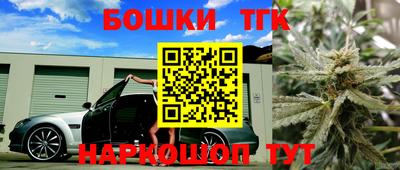 гидра Будённовск