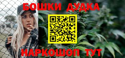 гидра Будённовск