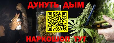 гидра Будённовск
