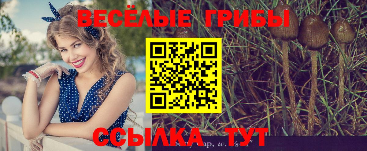 Псилоцибиновые грибы ЛСД Ростов-на-Дону
